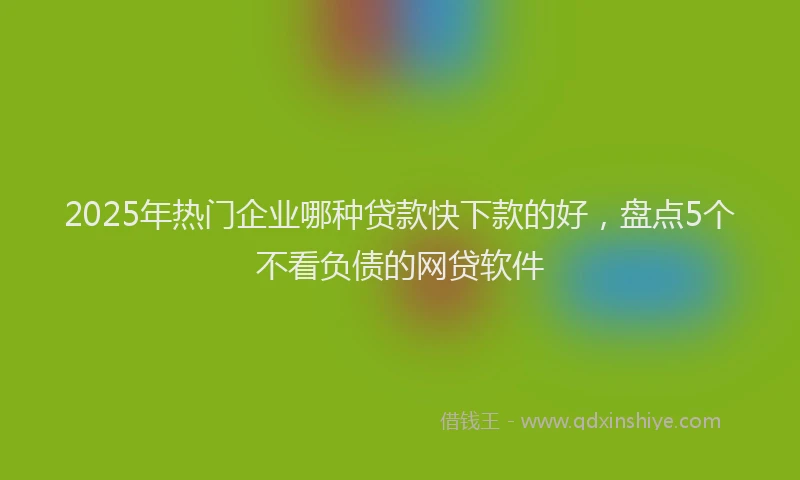 2025年热门企业哪种贷款快下款的好，盘点5个不看负债的网贷软件