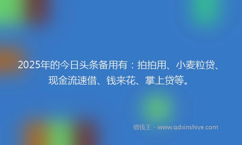 2025年的今日头条备用有：拍拍用、小麦粒贷、现金流速借、钱来花、掌上贷等。