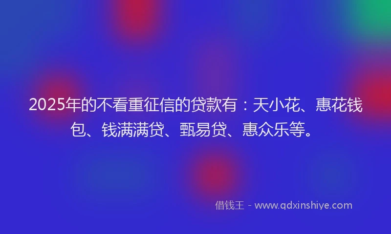 2025年的不看重征信的贷款有：天小花、惠花钱包、钱满满贷、甄易贷、惠众乐等。