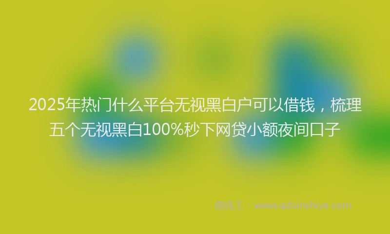 2025年热门什么平台无视黑白户可以借钱,梳理五个无视黑白100%秒下网贷小额夜间口子