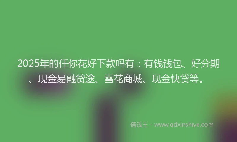 2025年的任你花好下款吗有：有钱钱包、好分期、现金易融贷途、雪花商城、现金快贷等。