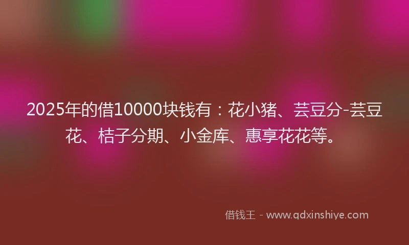 2025年的借10000块钱有：花小猪、芸豆分-芸豆花、桔子分期、小金库、惠享花花等。