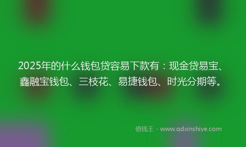 2025年的什么钱包贷容易下款有：现金贷易宝、鑫融宝钱包、三枝花、易捷钱包、时光分期等。