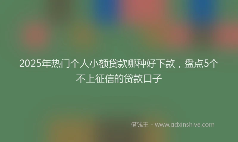 2025年热门个人小额贷款哪种好下款，盘点5个不上征信的贷款口子