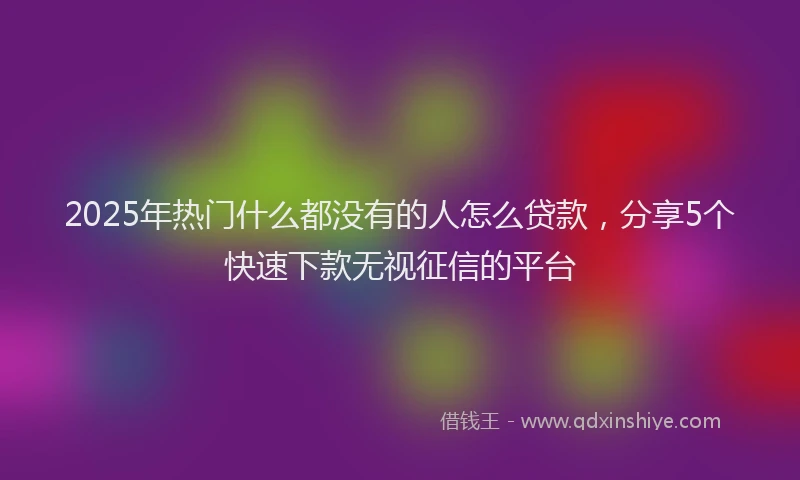 2025年热门什么都没有的人怎么贷款，分享5个快速下款无视征信的平台