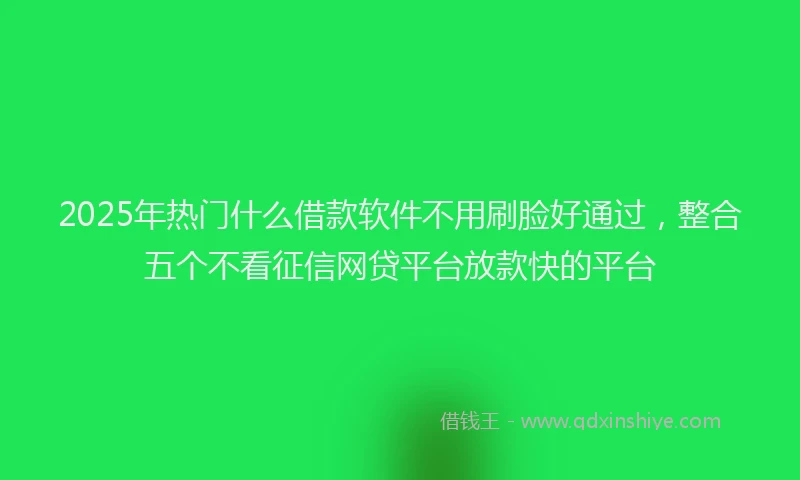 2025年热门什么借款软件不用刷脸好通过，整合五个不看征信网贷平台放款快的平台