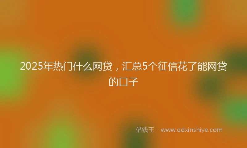 2025年热门什么网贷，汇总5个征信花了能网贷的口子