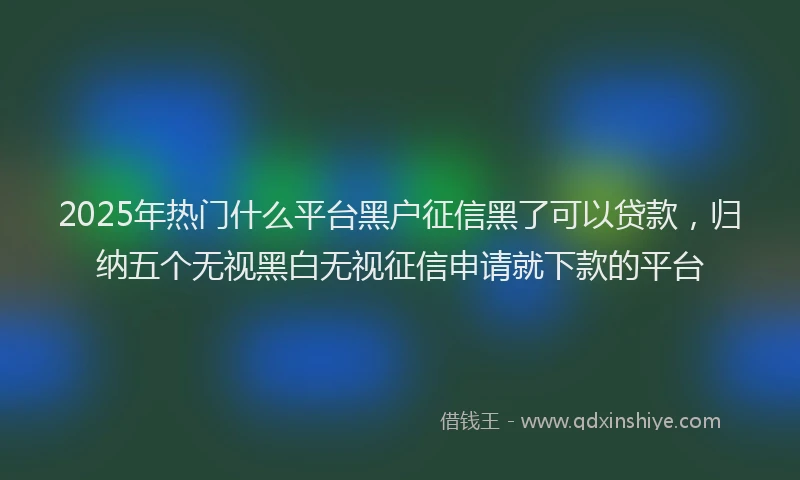 2025年热门什么平台黑户征信黑了可以贷款，归纳五个无视黑白无视征信申请就下款的平台