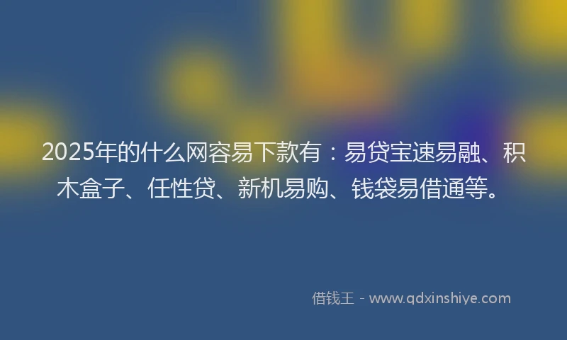 2025年的什么网容易下款有：易贷宝速易融、积木盒子、任性贷、新机易购、钱袋易借通等。
