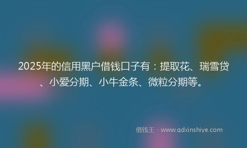 2025年的信用黑户借钱口子有：提取花、瑞雪贷、小爱分期、小牛金条、微粒分期等。