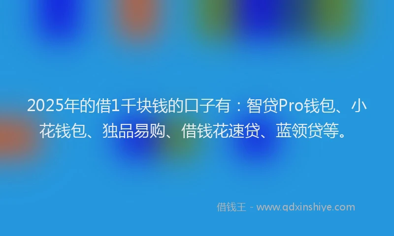 2025年的借1千块钱的口子有：智贷Pro钱包、小花钱包、独品易购、借钱花速贷、蓝领贷等。