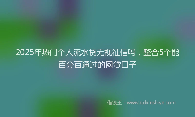 2025年热门个人流水贷无视征信吗，整合5个能百分百通过的网贷口子