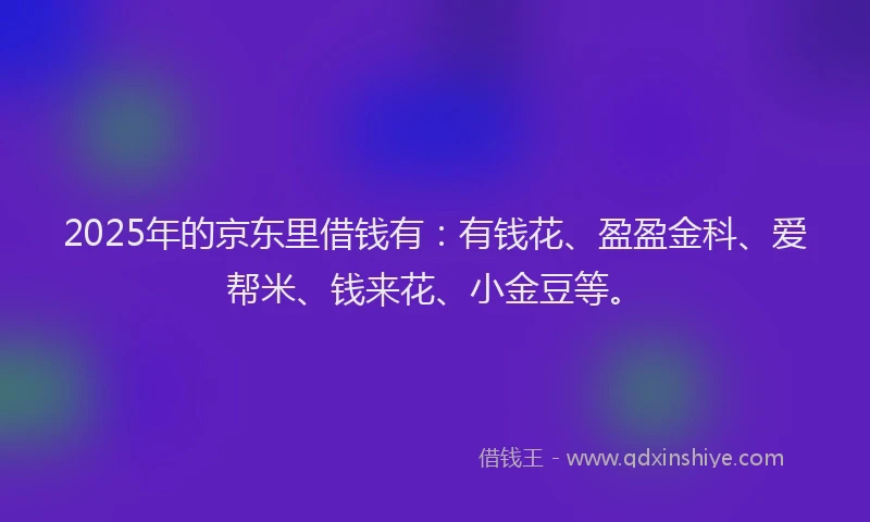 2025年的京东里借钱有：有钱花、盈盈金科、爱帮米、钱来花、小金豆等。