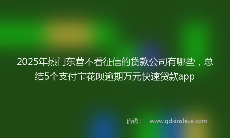 2025年热门东营不看征信的贷款公司有哪些，总结5个支付宝花呗逾期万元快速贷款app