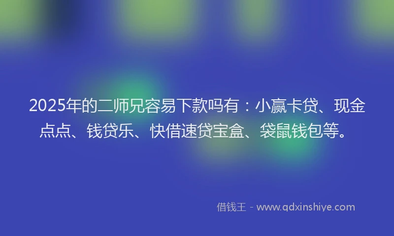 2025年的二师兄容易下款吗有：小赢卡贷、现金点点、钱贷乐、快借速贷宝盒、袋鼠钱包等。