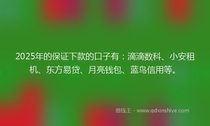 2025年的保证下款的口子有：滴滴数科、小安租机、东方易贷、月亮钱包、蓝鸟信用等。