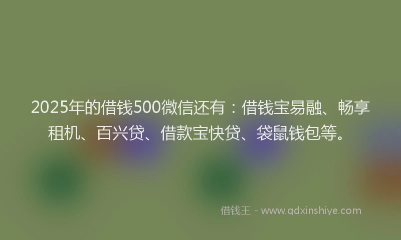 2025年的借钱500微信还有：借钱宝易融、畅享租机、百兴贷、借款宝快贷、袋鼠钱包等。
