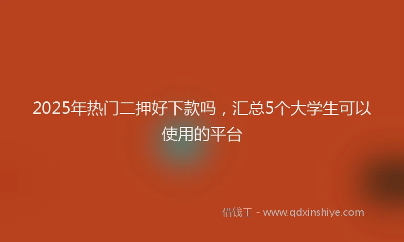 2025年热门二押好下款吗，汇总5个大学生可以使用的平台