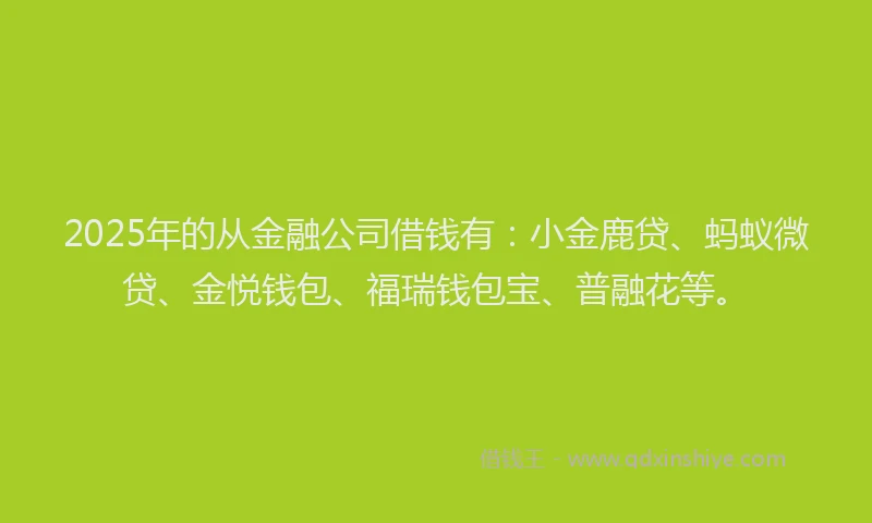 2025年的从金融公司借钱有：小金鹿贷、蚂蚁微贷、金悦钱包、福瑞钱包宝、普融花等。