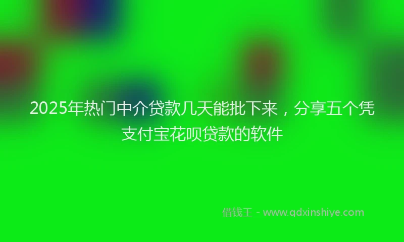 2025年热门中介贷款几天能批下来，分享五个凭支付宝花呗贷款的软件