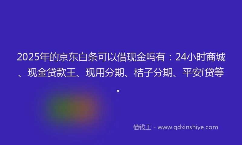 2025年的京东白条可以借现金吗有：24小时商城、现金贷款王、现用分期、桔子分期、平安i贷等。