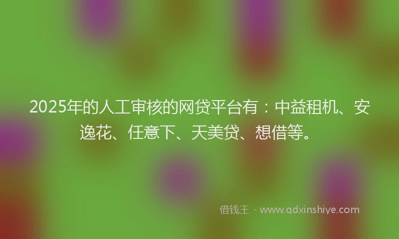 2025年的人工审核的网贷平台有：中益租机、安逸花、任意下、天美贷、想借等。
