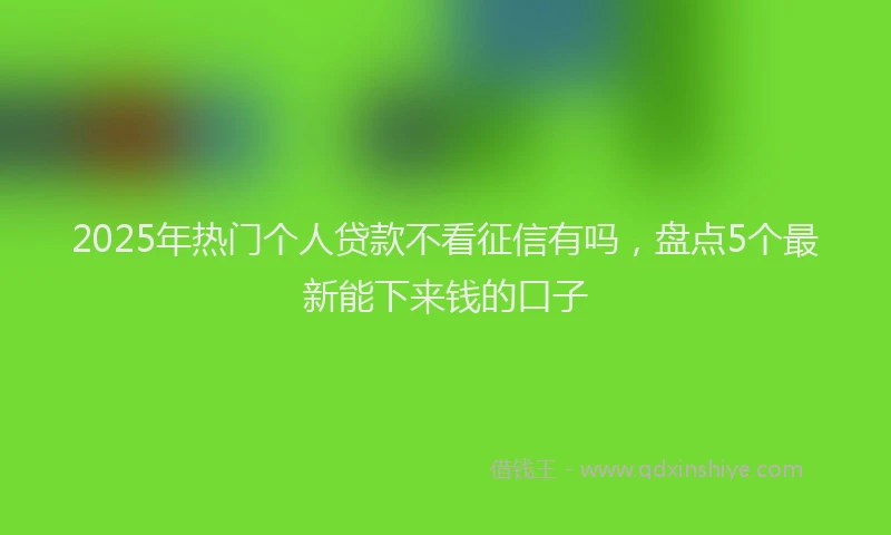 2025年热门个人贷款不看征信有吗，盘点5个最新能下来钱的口子