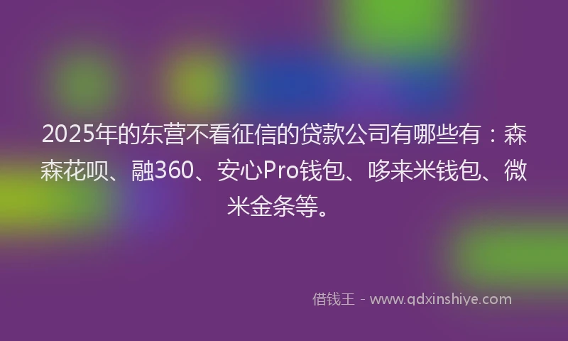 2025年的东营不看征信的贷款公司有哪些有：森森花呗、融360、安心Pro钱包、哆来米钱包、微米金条等。