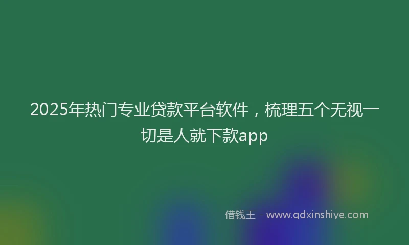2025年热门专业贷款平台软件，梳理五个无视一切是人就下款app