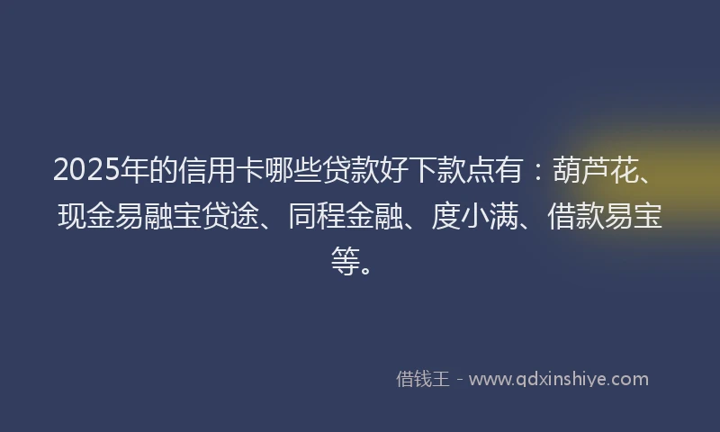2025年的信用卡哪些贷款好下款点有：葫芦花、现金易融宝贷途、同程金融、度小满、借款易宝等。