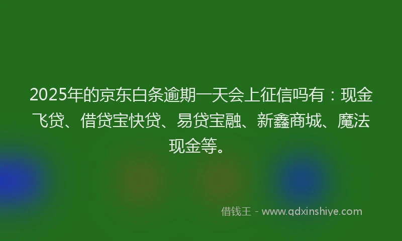 2025年的京东白条逾期一天会上征信吗有：现金飞贷、借贷宝快贷、易贷宝融、新鑫商城、魔法现金等。