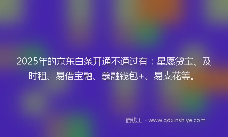 2025年的京东白条开通不通过有：星愿贷宝、及时租、易借宝融、鑫融钱包+、易支花等。