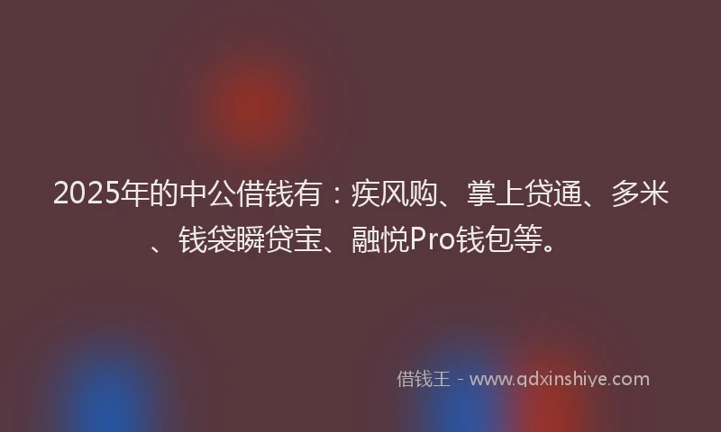 2025年的中公借钱有：疾风购、掌上贷通、多米、钱袋瞬贷宝、融悦Pro钱包等。