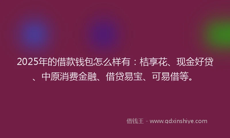 2025年的借款钱包怎么样有：桔享花、现金好贷、中原消费金融、借贷易宝、可易借等。