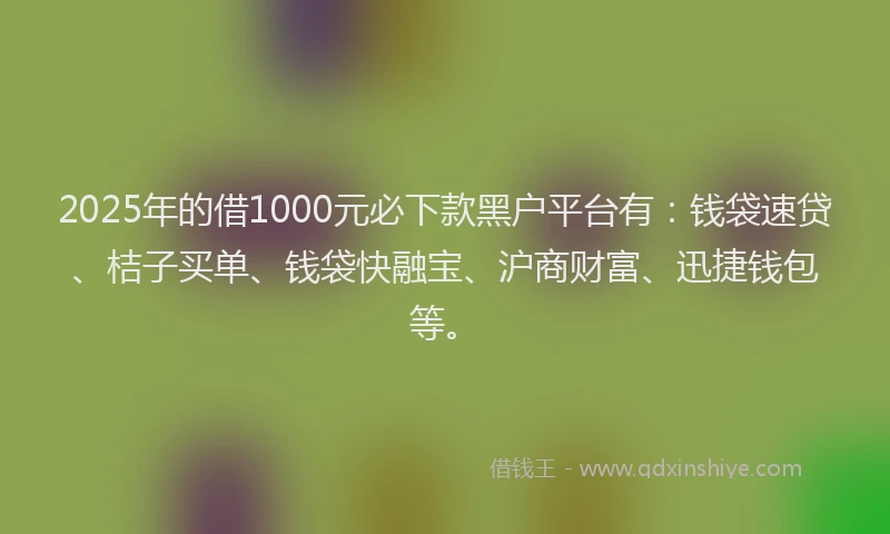 2025年的借1000元必下款黑户平台有：钱袋速贷、桔子买单、钱袋快融宝、沪商财富、迅捷钱包等。