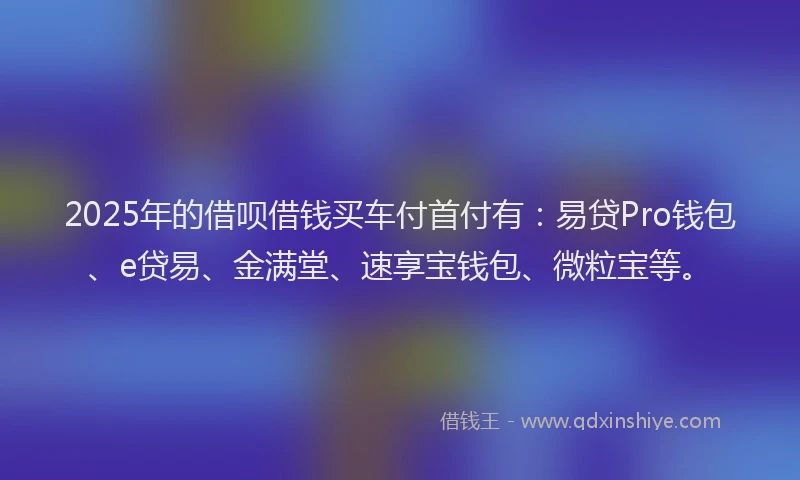 2025年的借呗借钱买车付首付有：易贷Pro钱包、e贷易、金满堂、速享宝钱包、微粒宝等。