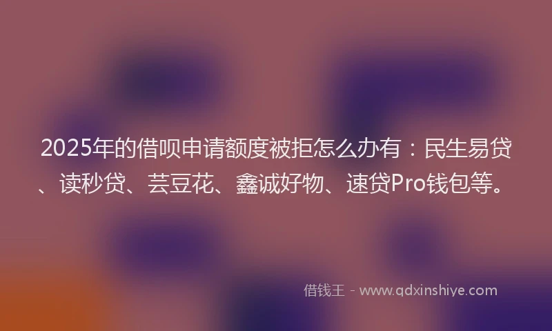 2025年的借呗申请额度被拒怎么办有：民生易贷、读秒贷、芸豆花、鑫诚好物、速贷Pro钱包等。
