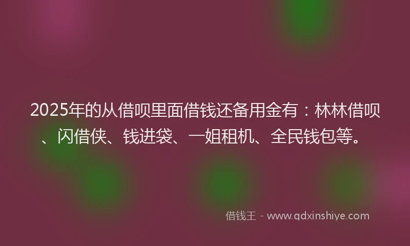 2025年的从借呗里面借钱还备用金有：林林借呗、闪借侠、钱进袋、一姐租机、全民钱包等。