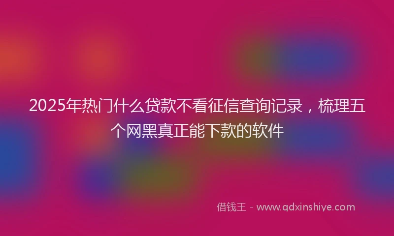 2025年热门什么贷款不看征信查询记录，梳理五个网黑真正能下款的软件
