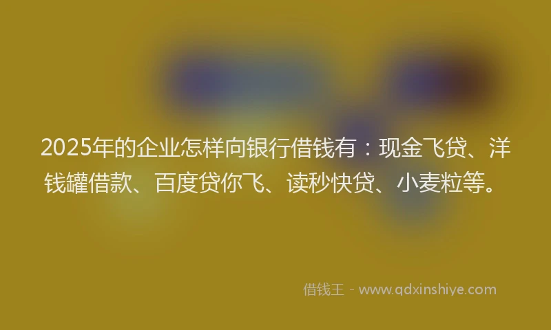 2025年的企业怎样向银行借钱有：现金飞贷、洋钱罐借款、百度贷你飞、读秒快贷、小麦粒等。