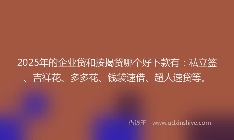 2025年的企业贷和按揭贷哪个好下款有：私立签、吉祥花、多多花、钱袋速借、超人速贷等。