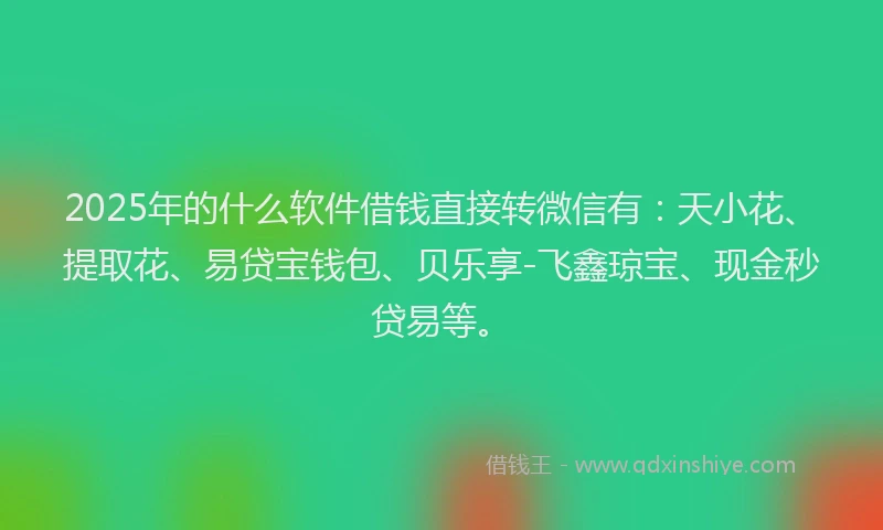 2025年的什么软件借钱直接转微信有：天小花、提取花、易贷宝钱包、贝乐享-飞鑫琼宝、现金秒贷易等。