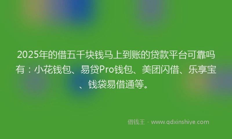 2025年的借五千块钱马上到账的贷款平台可靠吗有：小花钱包、易贷Pro钱包、美团闪借、乐享宝、钱袋易借通等。
