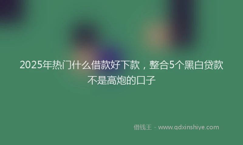 2025年热门什么借款好下款，整合5个黑白贷款不是高炮的口子