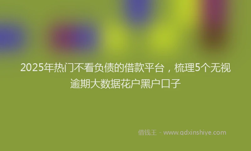 2025年热门不看负债的借款平台，梳理5个无视逾期大数据花户黑户口子