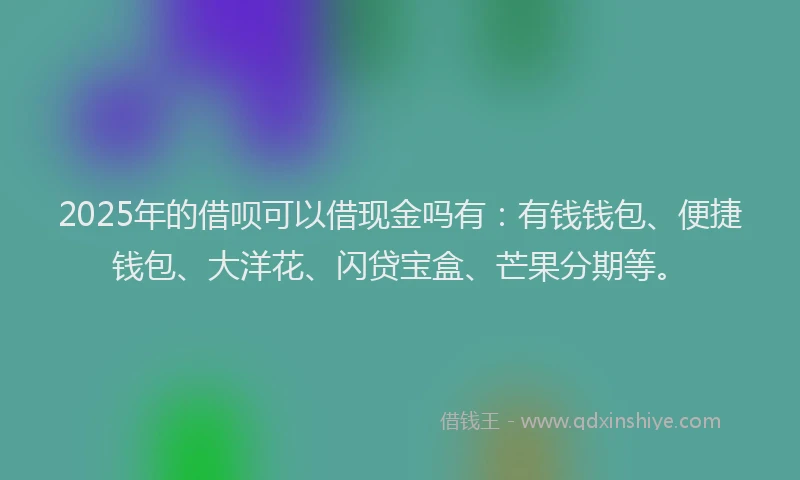 2025年的借呗可以借现金吗有：有钱钱包、便捷钱包、大洋花、闪贷宝盒、芒果分期等。