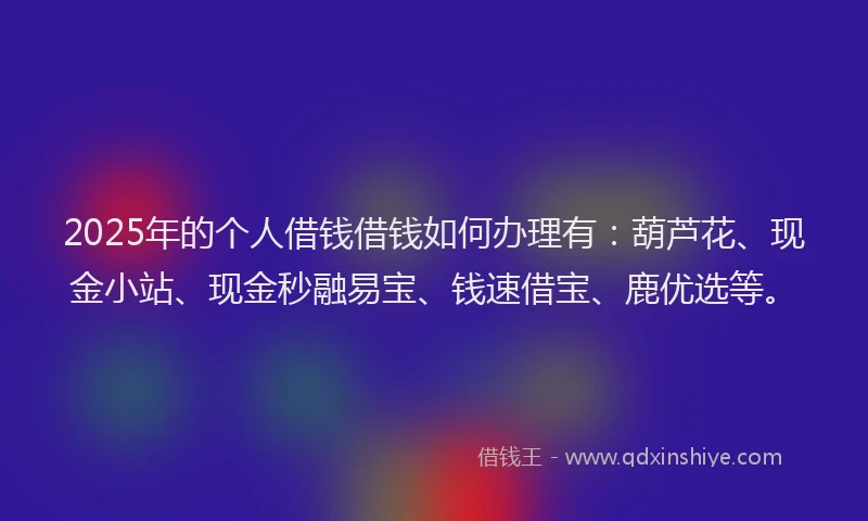 2025年的个人借钱借钱如何办理有：葫芦花、现金小站、现金秒融易宝、钱速借宝、鹿优选等。