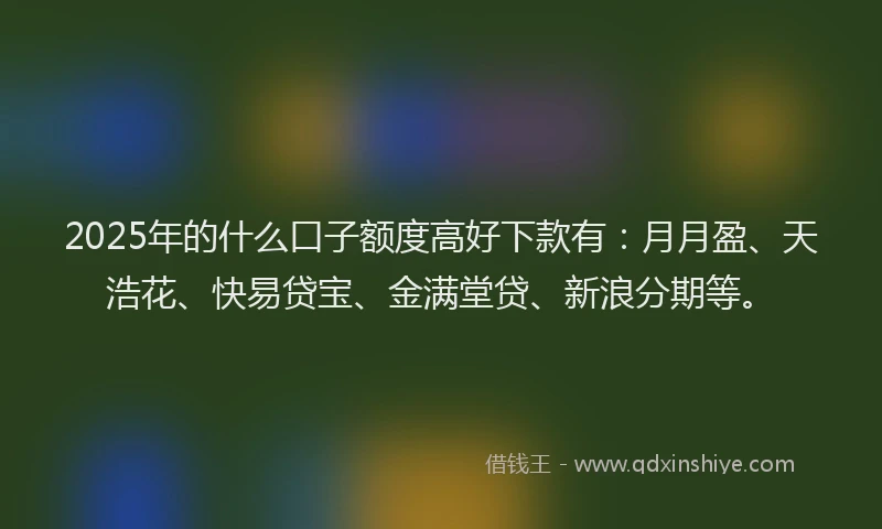 2025年的什么口子额度高好下款有：月月盈、天浩花、快易贷宝、金满堂贷、新浪分期等。