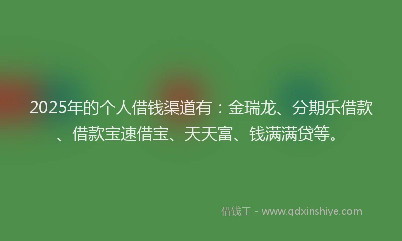 2025年的个人借钱渠道有：金瑞龙、分期乐借款、借款宝速借宝、天天富、钱满满贷等。