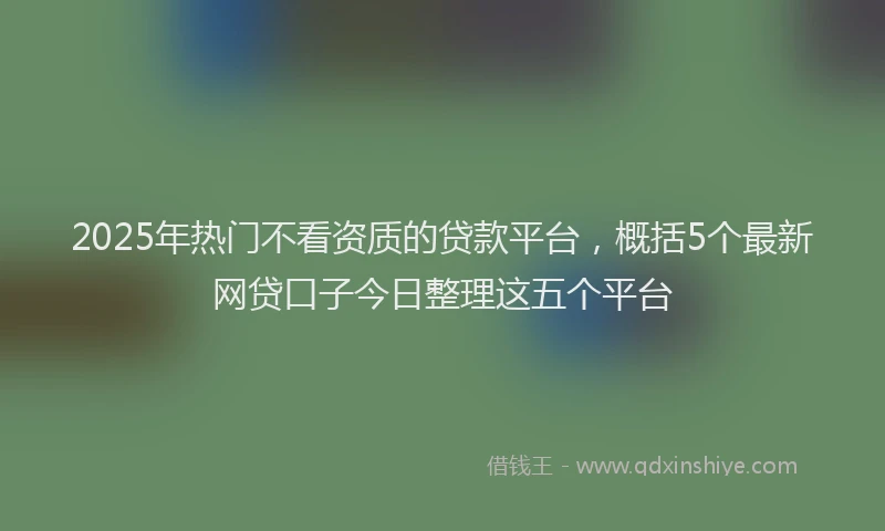 2025年热门不看资质的贷款平台，概括5个最新网贷口子今日整理这五个平台